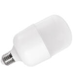 2R LED CAP T80 E27 20W 6500K fényforrás (LED CAP T80 E27 20W 6500K)