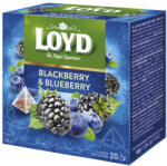 LOYD Gyümölcstea LOYD Piramis áfonya-szeder 20x2 g