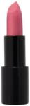 Radiant Professional Machiaj Buze Advanced Care Lipstick Glossy Orchids Ruj 4.5 g