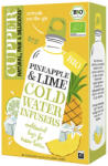 Cupper Pineapple & Lime Cold Water Infusers BIO