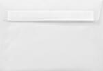 Aster Tracing Plic decorativ neted transparent C5 16, 2x22, 9 HK Aster Tracing alb 112g
