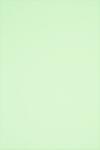 Rainbow Hârtie decorativă netedă colorată Rainbow 160g R72 verde deschis 250A4