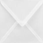Aster Tracing Plic decorativ neted transparent pătrat K4 15, 3x15, 3 BK Aster Tracing delta alb 112g