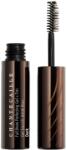 Chantecaille Full Brow Perfecting Gel Brow + Tint gel fixare pentru sprâncene Dark Tint 5.5 ml