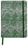 Clairefontaine Notebook coperta moale piele, A5, 144 pagini, Celeste GREENLASER+SILVER (CAI248)