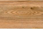  Falicsempe Oak Dark fényes barna fa imitációs 20 cm x 30 cm