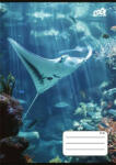 Victoria Füzet, tűzött, A5, kockás, 32 lap, COOL BY VICTORIA " Ocean World" , " 27-32"