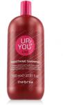 Inebrya Up To You Liss Smoothing Shampoo 1000 ml
