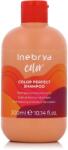 Inebrya Color Color Perfect Shampoo 300 ml