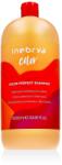 Inebrya Color Perfect Shampoo 1000 ml