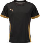 PUMA TEAMGOAL MATCHDAY JERSEY JR Negru, Auriu 164 (70574828)
