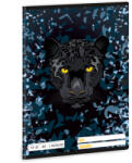 Ars Una Black Panther A/5 3. oszt. füzet 12-32 (53605290)