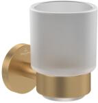 Villeroy&Boch Pahar cu suport de perete Villeroy & Boch Elements Tender auriu periat (TVA15101800076)