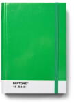 Pantone Тефтер Green 16-6340 - Pantone (101516340)