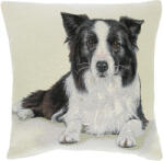 Cortimex Kft Border collie párnahuzat 45x45 cm