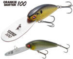Tiemco CRANKIE DARTER 100 F 70mm 13gr Color 06 Ultra Baitfish (302700010006) - fishingoutlet