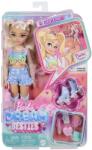 Mattel Barbie Dream Besties Papusa Barbie Petrecere pe Role (MTJFX96) - edanco Papusa Barbie