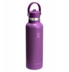 Hydro Flask Thermo palack (621 ml) Beachplum Standard Mouth Flex Straw Hydro Flask (S21CFS526)
