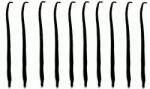 Royal Brand Vanília Pálca 10 Db 10-14cm Vanília pálca MINŐSÉG1 (Uganda)