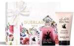 Guerlain La Petite Robe Noire Intense (2022) - EDP 50 ml + testápoló 75 ml + EDP 5 ml