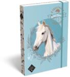  Füzetbox A4 széles lapos gumizáródással "Wild Beauty Sport Club" TICLFBWBA4 (TICLFBWBA4)