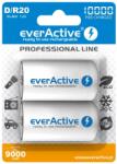  Akumulatorki everActive R20/D Ni-MH 10000 mAh připraven k použití