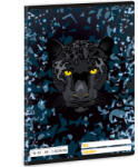 Ars Una Ars Una: Black Panther 2. osztályos vonalas füzet A/5 16-32 (53595294)