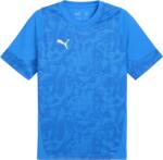 PUMA Teamcup Training Jersey (65916702)
