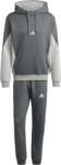 adidas Sportswear Fleece Colorblock Track Suit (ji8884)