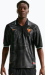 Nike Férfi focimez Nike FFF Energy Dri-Fit anthracite/igloo/metallic copper