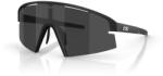 Bliz Ochelari Bliz P006, matte black/smoke (L)