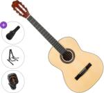 Pasadena PC-10L Standard SET 4/4 Natural Chitară clasică