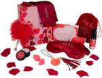 DreamToys Dreamtoys Amour - set cadou cu vibrator în formă de inimă (roșu) (8720365104343) Vibrator