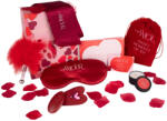 DreamToys Dreamtoys Amour - set vibrator chiloți purtabil (roșu) (8720365104350) Vibrator