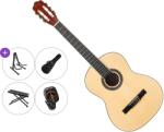 Pasadena PC-10L Premium SET 4/4 Natural Chitară clasică