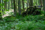 Ghosthood® Camuflaj mobil multispectral reversibil Polaris MRZR Ghosthood® (Culoare: Verde Concamo)