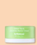 Wishtrend Barrier erősítő arckrém zöld teával és ceramidokkal Green tea & Ceramide Barrier Cream - 50 g