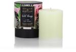 Ashleigh & Burwood Lumanari Aromatizatoare Scented Candle Refill I Zee You Baby Rezerva Lumanare Parfumata 320 g