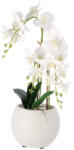 AdTrend Orhidee artificiala alba in ghiveci 21 x 60 cm (119404C)