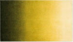 Heymat Covoraș de intrare Dis Moss 85 x 150 cm (51134) Pres