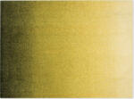 Heymat Covoraș de intrare Dis Moss 85 x 115 cm (51132) Pres