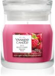 Yankee Candle Red Raspberry lumânare parfumată Signature 110 g