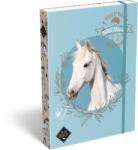 LIZZY Füzetbox, A4, LIZZYSULI, "Wild Beauty, Sport Club (TICLFBWBA4) - primatinta
