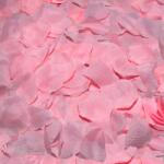 Diverty sex - diablo picante Листчета diablo picante - 100 pink petals