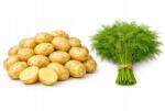  Burgonya Lengyel Fiatal Friss 2 kg Kapor Ingyenes szállítás