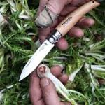 Opinel kés Dió (001216)