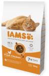 Iams szárazeledel csirke 10 kg