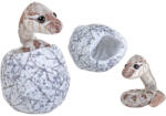 Wild Republic Sarpe Iesit Din Ou Hatchling (WR29756) - alemax