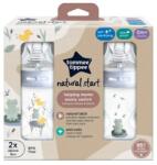 Tommee Tippee Cumisüveg képekkel C2N 260 ml 2 db - kék