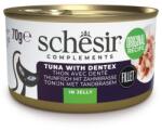 Schesir Complements Tonhal csirkemellel zselében 70 g kiegészítő nedves táplálék macskáknak